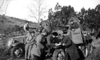 Экипажи бронеавтомобилей БА-10М уточняют боевую задачу. Брянский фронт, октябрь 1941 года.