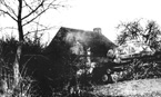 Польский танк ИС-2 с тактическим номером «431» 3-й роты, 4-ого отдельного  тяжёлого танкового полка в засаде. Март 1945 года. Танк частично имеет зимний камуфляж.