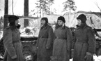 Экипаж командира 1-го дивизиона 8-й самоходно-артиллерийской бригады капитана В.З. Васильева. Белорусский фронт, февраль 1944 года.