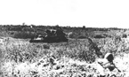 Польские самоходки СУ-76М из состава 3-ого отдельного самоходно-артиллерийского батальона, 3-ий пехотной дивизии на учебных манёврах. Июль 1944 года.